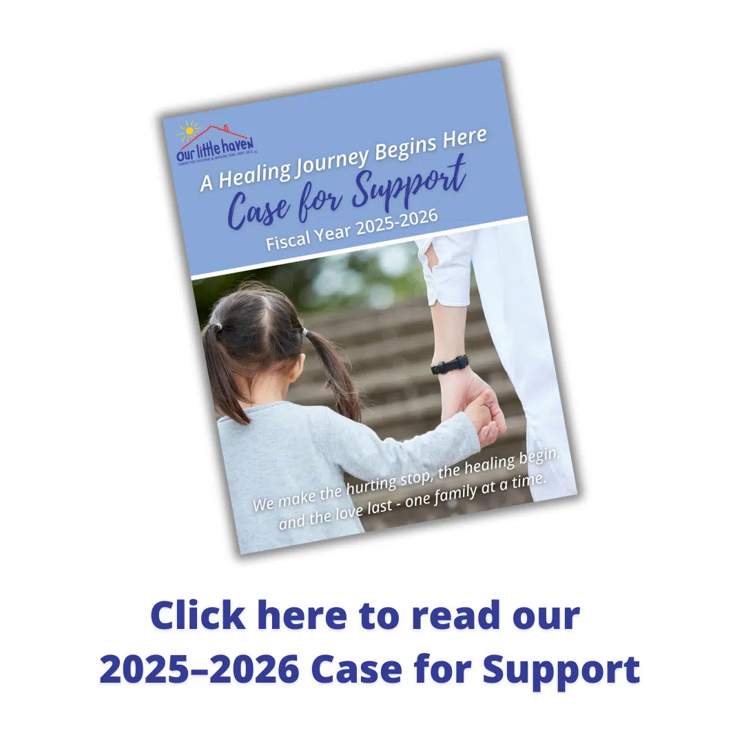 Case for Support for Website