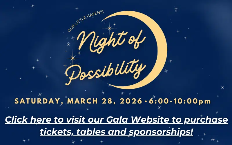 2026 Gala Webpage for site